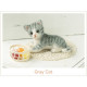 Japan Hamanaka Wool Needle Felting Kit - Gray Cat