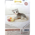 Japan Hamanaka Wool Needle Felting Kit - Gray Cat - 2