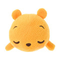 Japan Disney Store Plush Pen Case - Sleeping Pooh - 2