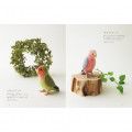 Japanese Needle Felting Book - 30 Adorable Little Bird Collection - 3