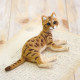 Japan Hamanaka Wool Needle Felting Kit - Bengal Cat