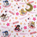 Japan Sailor Moon Mars Mercury Jupiter Venus Pretty Guardian Shopping Tote Bag - 2