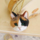 Japan Hamanaka Wool Needle Felting Kit - Realistic Calico Cat