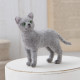 Japan Hamanaka Aclaine Needle Felting Kit - Russian Blue Cat