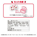 Japan Sanrio Keychain Plush - Hello Kitty : Sakuma - 8