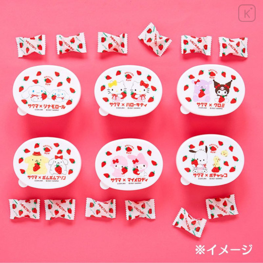 Japan Sanrio Mini Case - Hello Kitty / Sakuma - 6