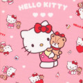 Japan Sanrio Passport Cover - Hello Kitty & Tiny Chum - 4