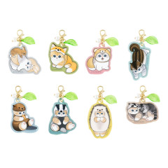 Japan Mofusand Mini Acrylic Charm Box Set - Woodlands