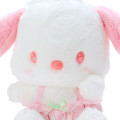 Japan Sanrio Plush Toy - Pochacco : 2022 Sakura - 3