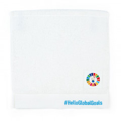 Japan Sanrio Hand Towel - Hello Kitty / SDGs