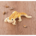 Japan Hamanaka Aclaine Needle Felting Kit - Leopard Gecko - 1