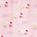 Japan Sanrio Original Eco Bag - Hello Kitty / Birthday 2022 - 4