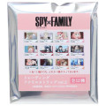 Japan Spy×Family Secret Acrylic Strap - Random Scene Vol 2. / Blind Box - 1