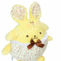 Japan Sanrio Plush Toy (M) - Pompompurin / Flower Rabbit - 3
