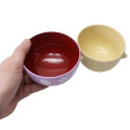 Japan Disney Ceramic Tea Bowl & Melamine Soup Bowl Set - Rapunzel / Watercolor - 3