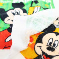 Japan Disney Wash Towel 2pcs Set - Mickey Mouse / Pluto & Friends - 2