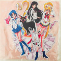 Sailor Moon Sticker Flakes 10pcs - 2