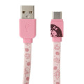 Japan Sanrio USB to Type-C Sync & Power Cable - My Melody - 2