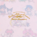Japan Sanrio × Sailor Moon A4 Clear File - Inner Guardians & Star Lights / Movie Cosmos - 5