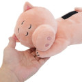 Japan Disney Co-sleeping Pillow Plush (S) - Ham - 5