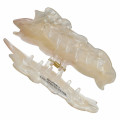 Japan Disney Store Pearl Acrylic Hair Claw Clip - Marie Cat - 7