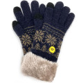 Japan San-X Embroidery Smartphone Compatible Gloves - Kiiroitori - 1