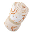 Japan Disney Store Blanket - Pooh & Piglet : Winter Look - 4