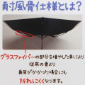 Japan Disney Folding Umbrella - Chip & Dale / Flora - 6