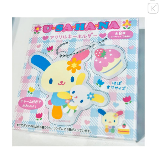 Japan Sanrio Acrylic Keychain - Usahana : Random Type Blind Box - 3