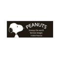 Japan Peanuts Jetstream 2&1 Multi Pen + Mechanical Pencil - Snoopy / Black 2023 - 2