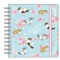Japan Mofusand Square Ring Notebook - Cat / Pink & Blue - 1