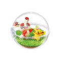 Japan Pokemon Figure Full Set - Terrarium Collection: Happy Everyday - 2