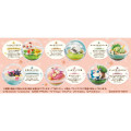 Japan Pokemon Figure Full Set - Terrarium Collection: Happy Everyday - 8