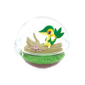 Japan Pokemon Figure Full Set - Terrarium Collection 12 - 4