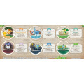 Japan Pokemon Figure Full Set - Terrarium Collection 12 - 8