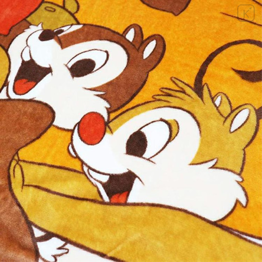 Japan Disney Blanket - Chip & Dale / Naughty Twins - 3