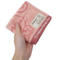 Japan Pokemon Jacquard Towel Handkerchief - Espurr & Scorbunny - 3