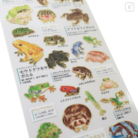 Japan Picture Book Sticker - Frog - 2