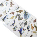 Japan Picture Book Sticker - Shark - 2