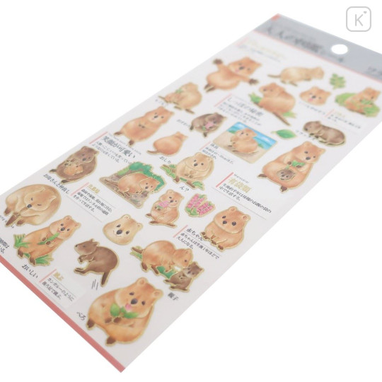 Japan Picture Book Sticker - Quokka Wallaby - 2