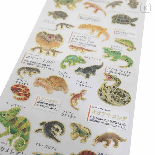 Japan Picture Book Sticker - Reptile - 2