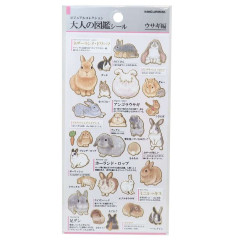 Japan Picture Book Sticker - Rabbit