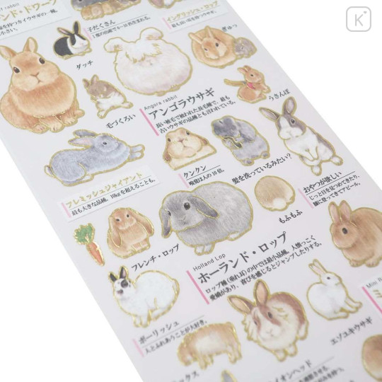 Japan Picture Book Sticker - Rabbit - 2