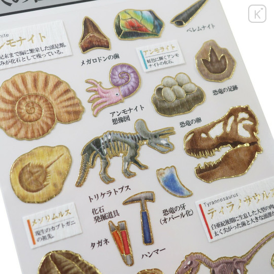 Japan Picture Book Sticker - Fossil - 2