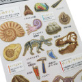 Japan Picture Book Sticker - Fossil - 2