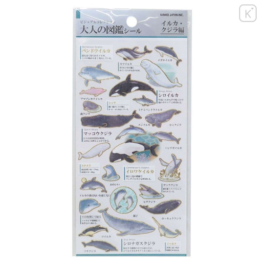 Japan Picture Book Sticker - Dolphin Whale - 1