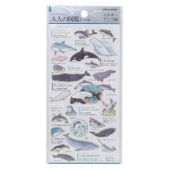Japan Picture Book Sticker - Dolphin Whale