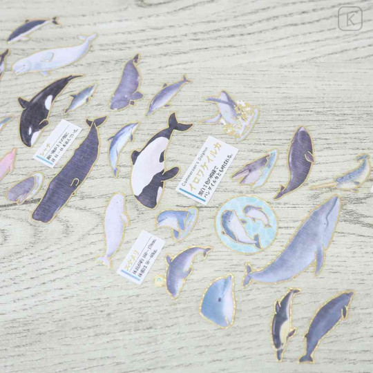 Japan Picture Book Sticker - Dolphin Whale - 2
