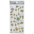 Japan Picture Book Sticker - Herb - 1