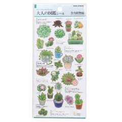 Japan Picture Book Sticker - Succulent Plant